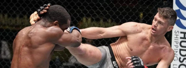 Wonderboy-UFC-Kickboxing-head-kick