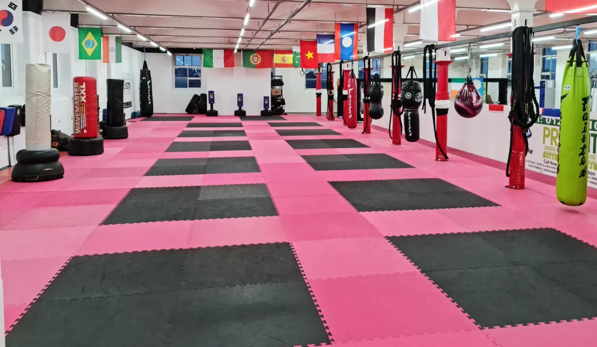 Full dojo image